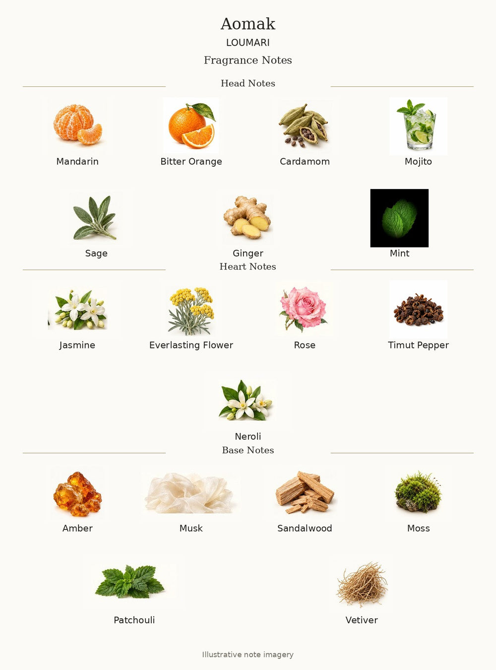 AOMAK — complete illustrated fragrance notes: Head Notes: Mandarin, Bitter Orange, Cardamom, Mojito, Sage, Ginger, Mint; Heart Notes: Jasmine, Everlasting Flower, Rose, Timut Pepper, Neroli; Base Notes: Amber, Musk, Sandalwood, Moss, Patchouli, Vetiver