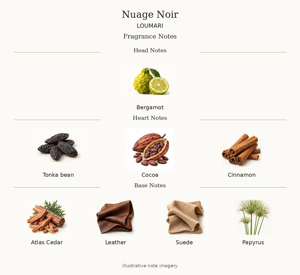 NUAGE NOIR — complete illustrated fragrance notes: Head Notes: Bergamot; Heart Notes: Tonka bean, Cocoa, Cinnamon; Base Notes: Atlas Cedar, Leather, Suede, Papyrus