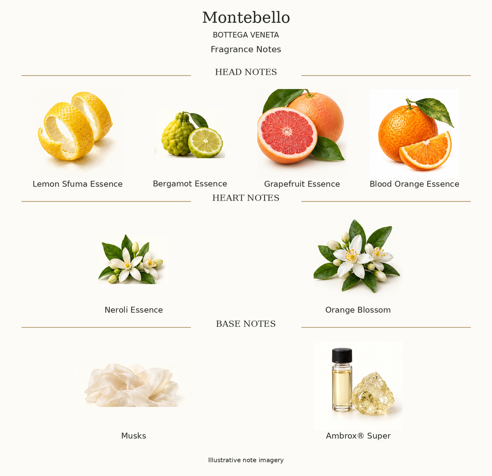 MONTEBELLO by BOTTEGA VENETA complete disclosed fragrance notes chart with illustrative ingredient imagery