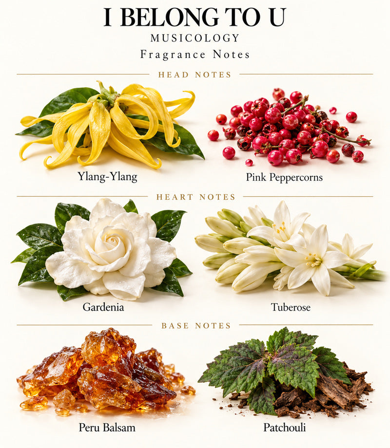 I BELONG TO U by Musicology — complete illustrated fragrance notes