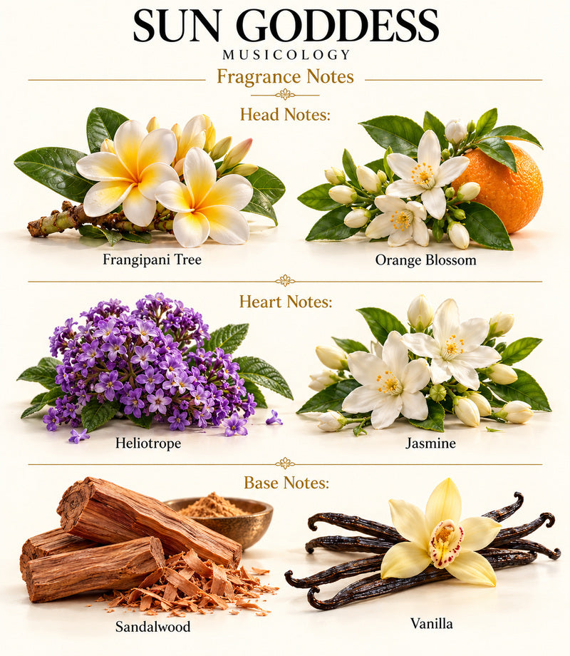 SUN GODDESS by Musicology — complete illustrated fragrance notes