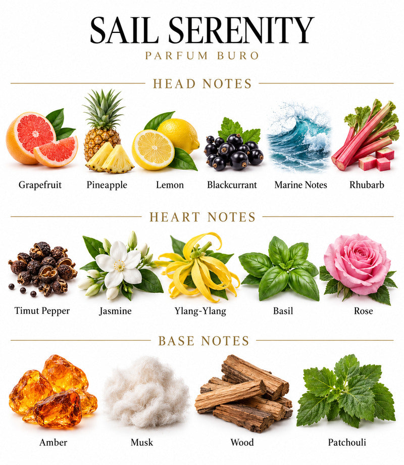 Sail Serenity by Parfum Büro complete illustrated fragrance notes