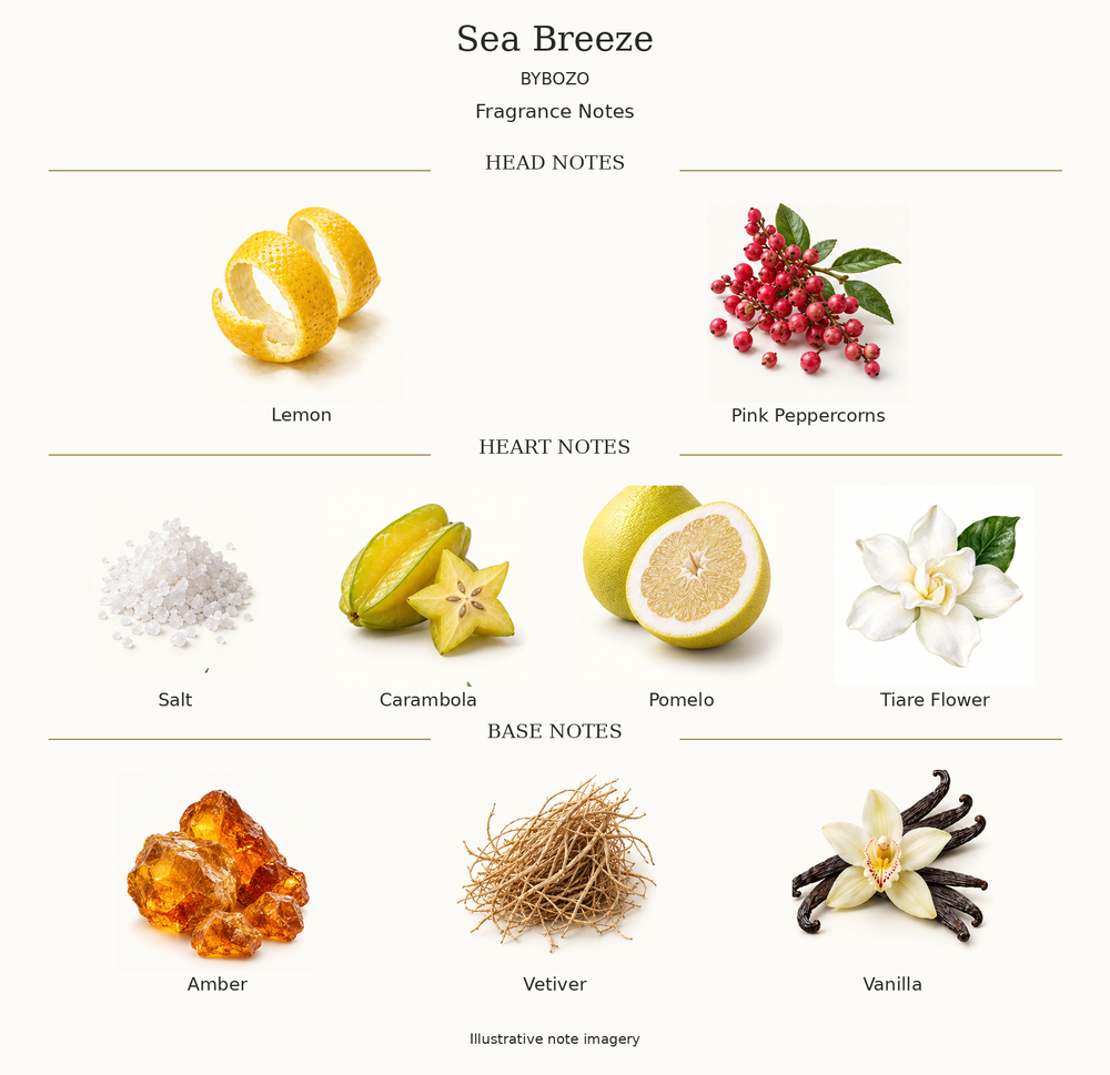 SEA BREEZE by BYBOZO complete disclosed fragrance notes chart with illustrative ingredient imagery