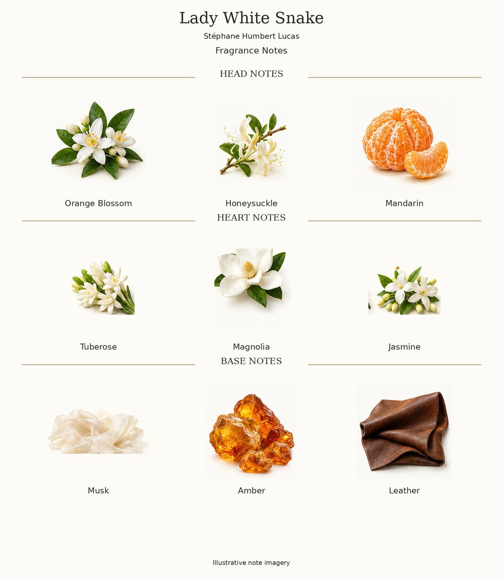 Lady White Snake complete illustrated fragrance notes: Orange Blossom, Honeysuckle, Mandarin; Tuberose, Magnolia, Jasmine; Musk, Amber, Leather