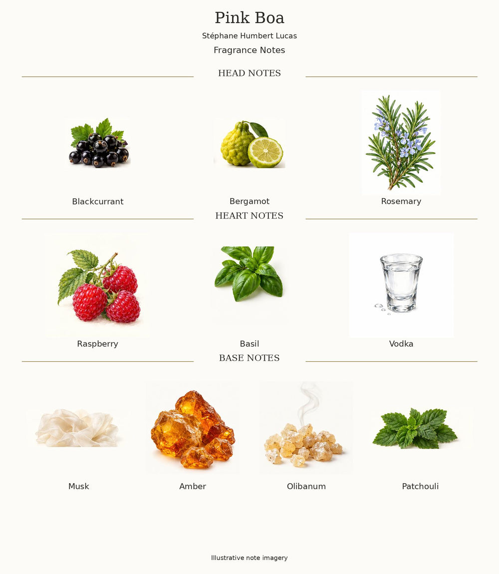 Pink Boa complete illustrated fragrance notes: Blackcurrant, Bergamot, Rosemary; Raspberry, Basil, Vodka; Musk, Amber, Olibanum, Patchouli
