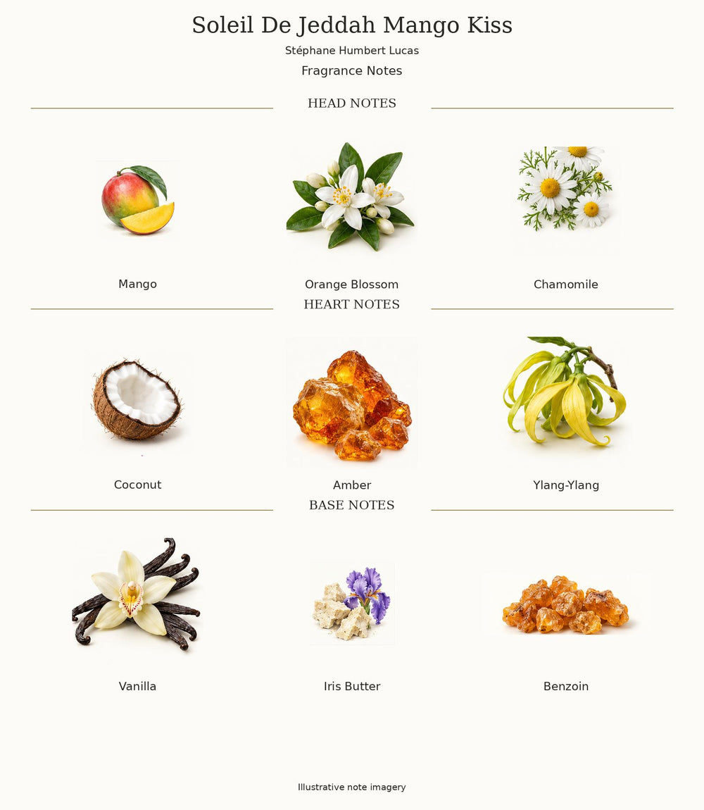 Soleil De Jeddah Mango Kiss complete illustrated fragrance notes: Mango, Orange Blossom, Chamomile; Coconut, Amber, Ylang-Ylang; Vanilla, Iris Butter, Benzoin