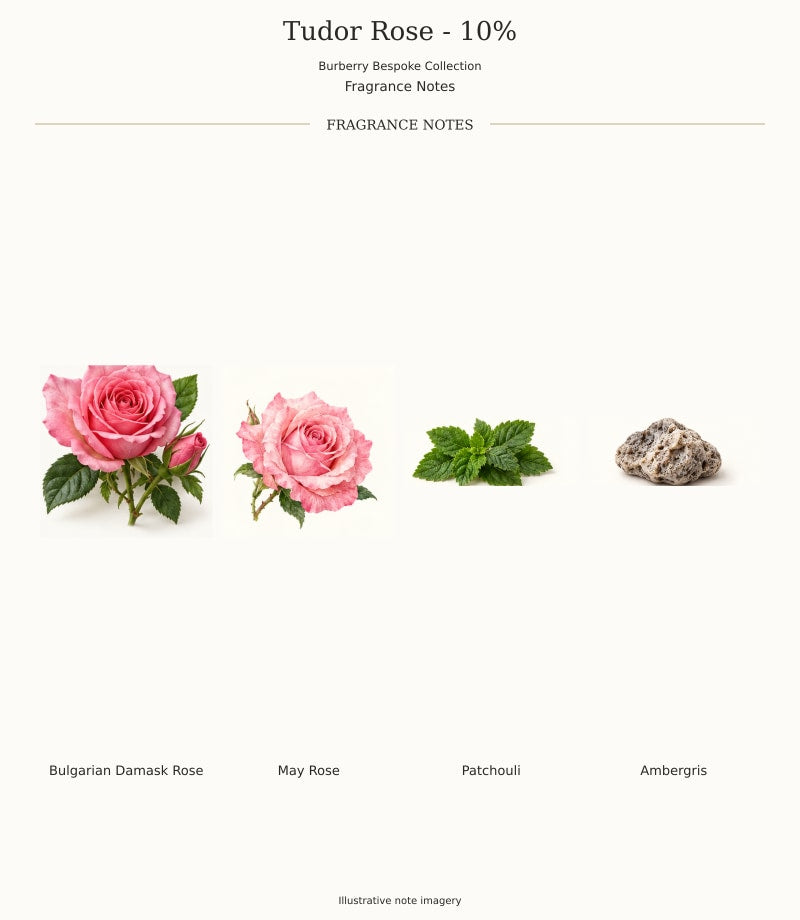 TUDOR ROSE - 10% — complete fragrance notes, illustrative artwork