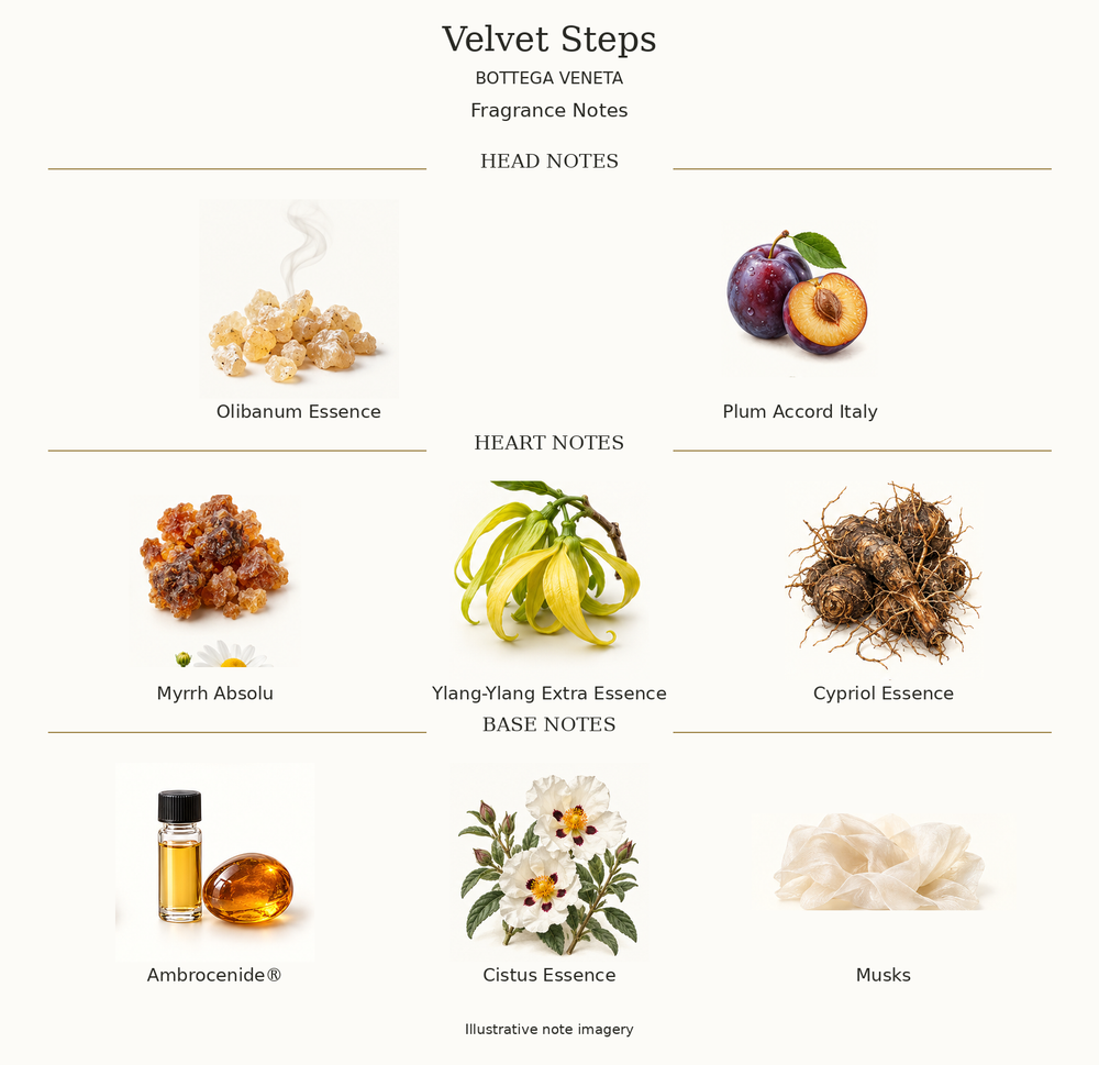 VELVET STEPS by BOTTEGA VENETA complete disclosed fragrance notes chart with illustrative ingredient imagery
