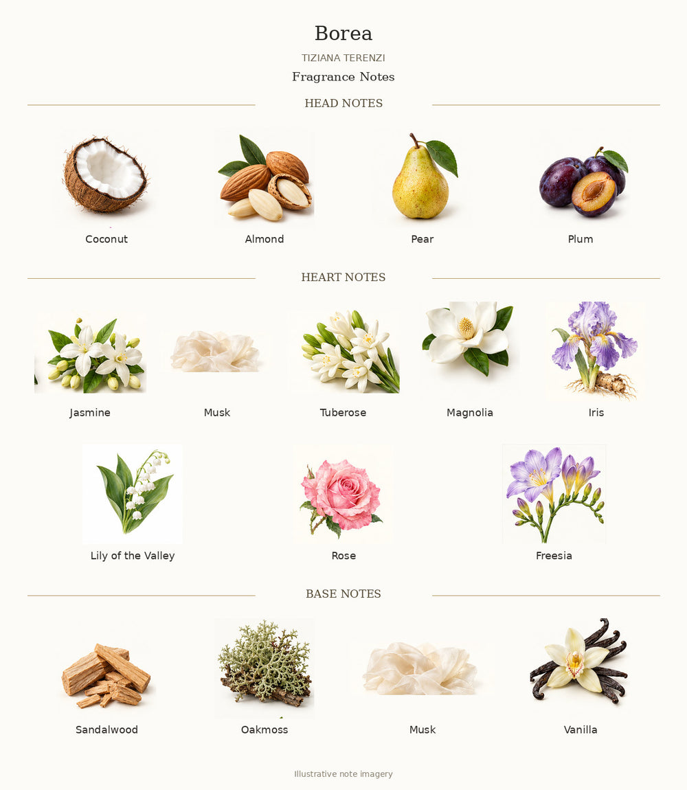 Borea by TIZIANA TERENZI fragrance notes: Coconut, Almond, Pear, Plum, Jasmine, Musk, Tuberose, Magnolia, Iris, Lily of the Valley, Rose, Freesia, Sandalwood, Oakmoss, Musk, Vanilla