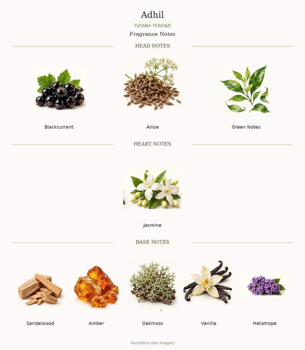 Adhil by TIZIANA TERENZI fragrance notes: Blackcurrant, Anise, Green Notes, Jasmine, Sandalwood, Amber, Oakmoss, Vanilla, Heliotrope