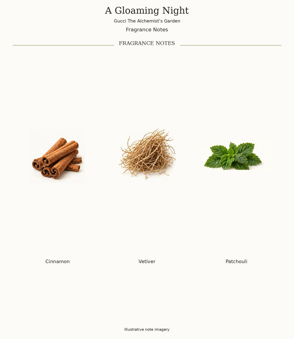 A Gloaming Night by Gucci — verified fragrance notes, illustrative ingredient imagery