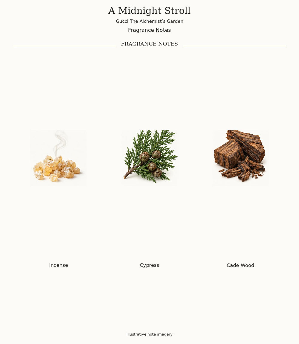 A Midnight Stroll by Gucci — verified fragrance notes, illustrative ingredient imagery