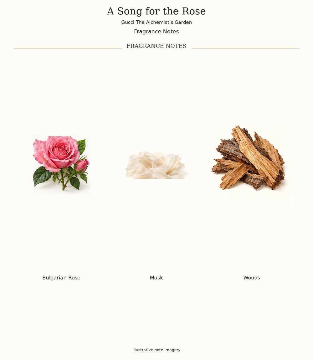 A Song for the Rose by Gucci — verified fragrance notes, illustrative ingredient imagery
