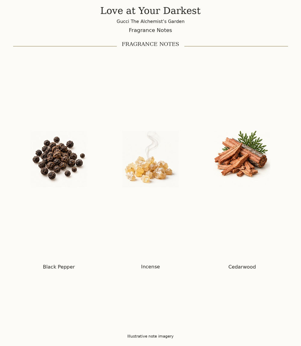Love at Your Darkest by Gucci — verified fragrance notes, illustrative ingredient imagery