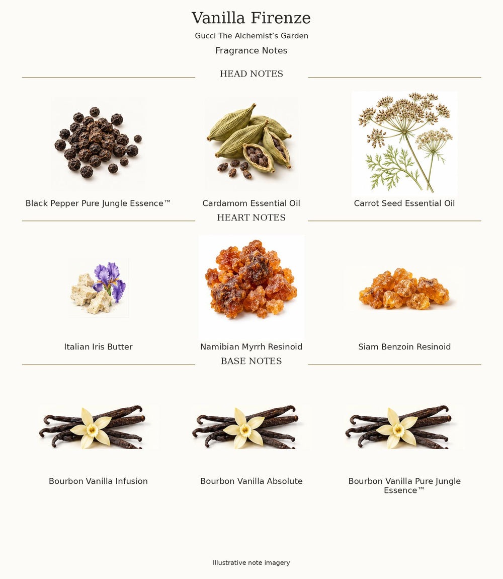 Vanilla Firenze by Gucci — verified fragrance notes, illustrative ingredient imagery