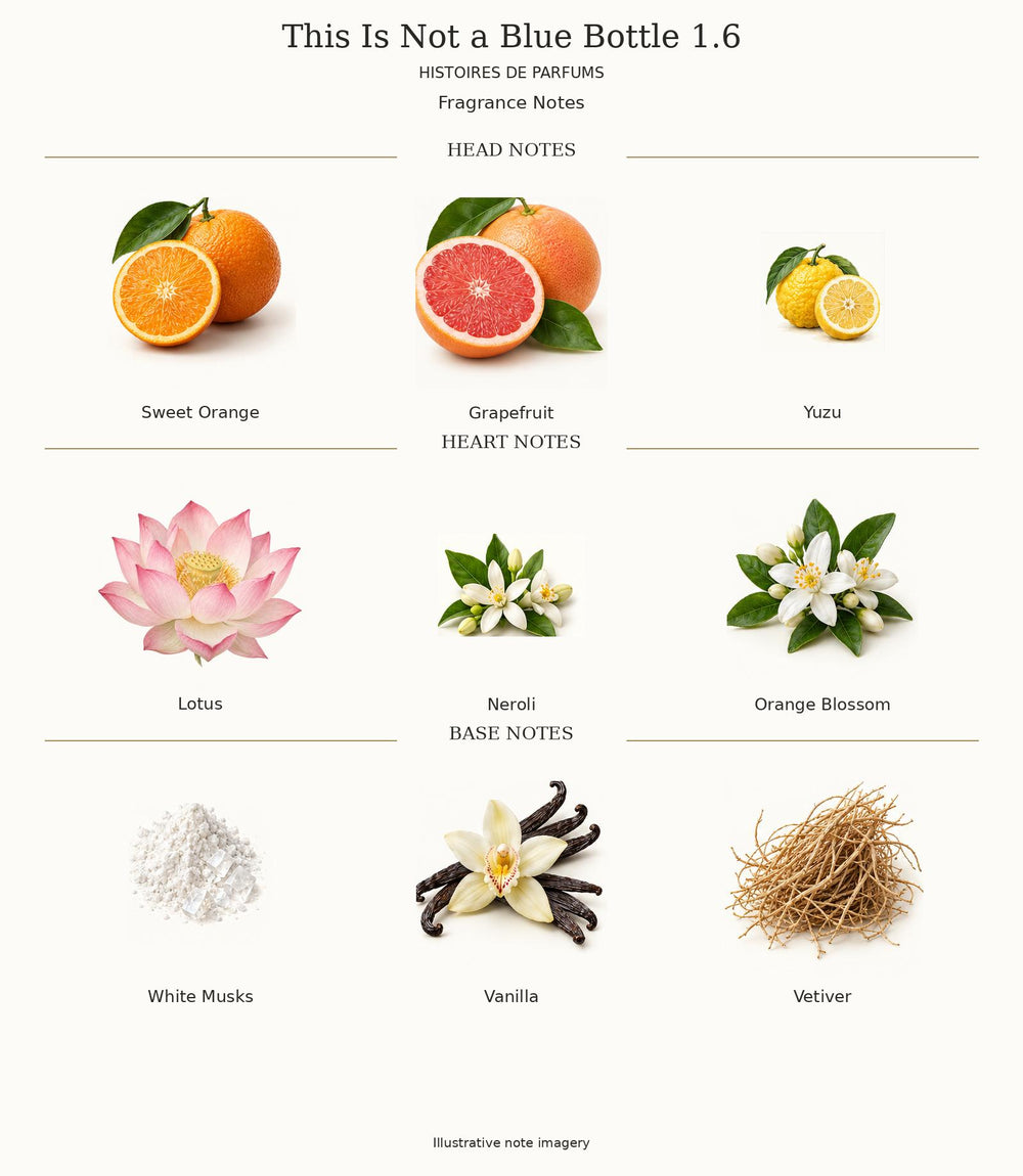 THIS IS NOT A BLUE BOTTLE 1.6 by Histoires de Parfums complete fragrance notes