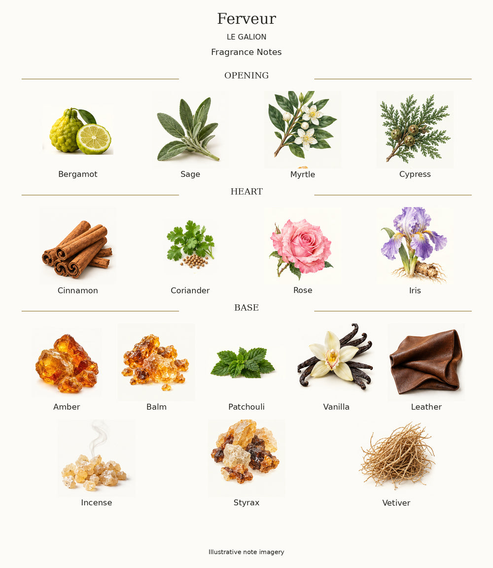 Complete fragrance notes for Ferveur: Opening: Bergamot, Sage, Myrtle, Cypress; Heart: Cinnamon, Coriander, Rose, Iris; Base: Amber, Balm, Patchouli, Vanilla, Leather, Incense, Styrax, Vetiver