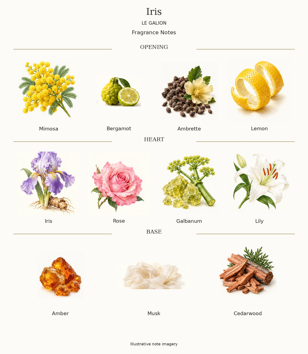 Complete fragrance notes for Iris: Opening: Mimosa, Bergamot, Ambrette, Lemon; Heart: Iris, Rose, Galbanum, Lily; Base: Amber, Musk, Cedarwood