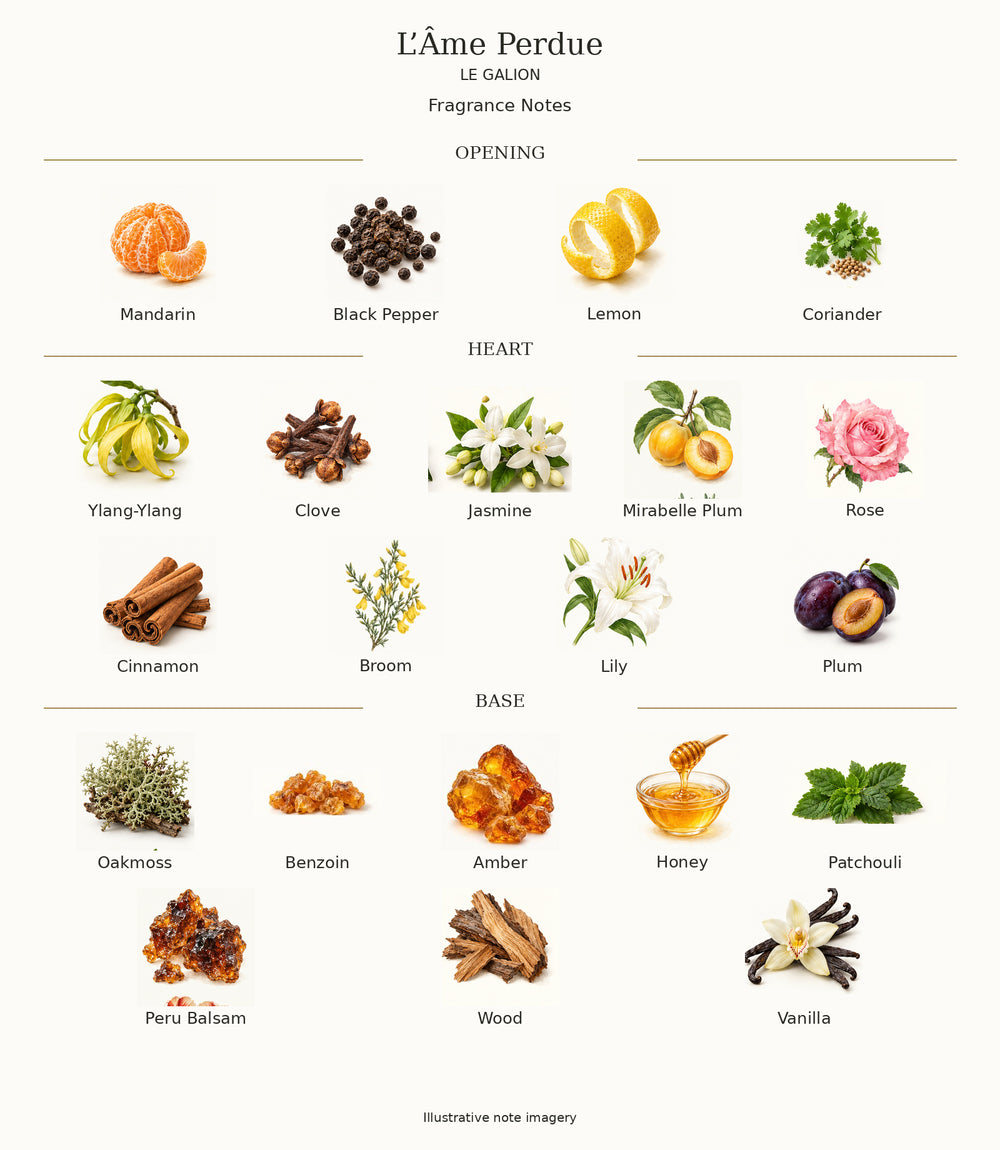 Complete fragrance notes for L’Âme Perdue: Opening: Mandarin, Black Pepper, Lemon, Coriander; Heart: Ylang-Ylang, Clove, Jasmine, Mirabelle Plum, Rose, Cinnamon, Broom, Lily, Plum; Base: Oakmoss, Benzoin, Amber, Honey, Patchouli, Peru Balsam, Wood, Vanilla