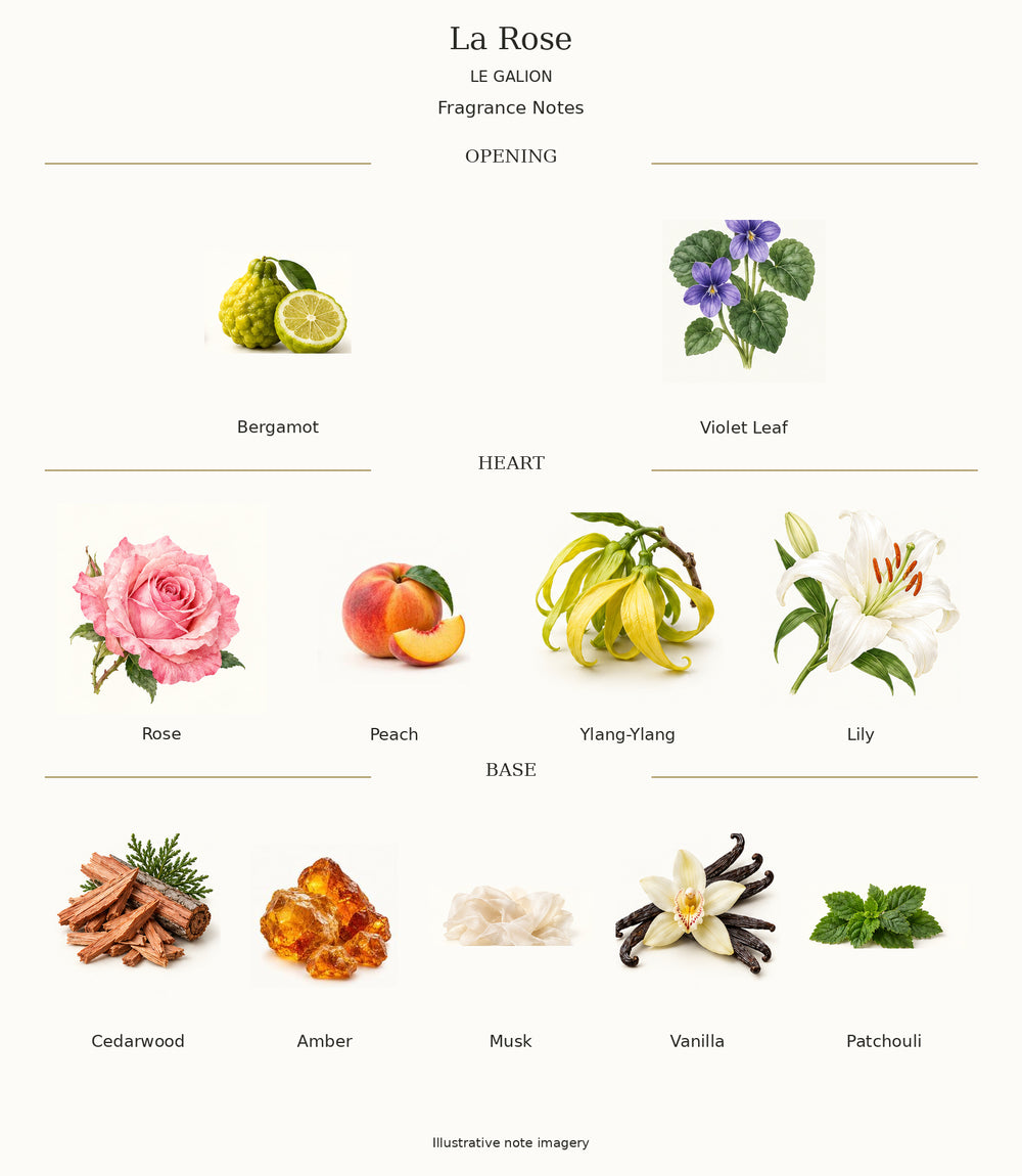 Complete fragrance notes for La Rose: Opening: Bergamot, Violet Leaf; Heart: Rose, Peach, Ylang-Ylang, Lily; Base: Cedarwood, Amber, Musk, Vanilla, Patchouli