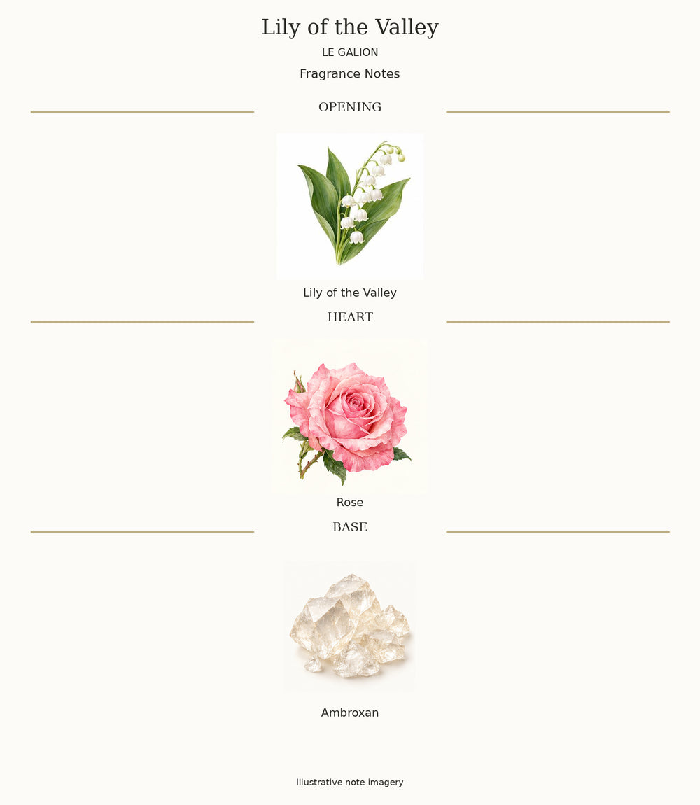 Complete fragrance notes for Lily of the Valley: Opening: Lily of the Valley; Heart: Rose; Base: Ambroxan
