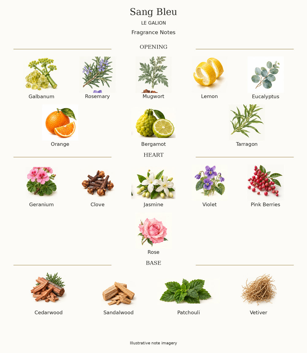 Complete fragrance notes for Sang Bleu: Opening: Galbanum, Rosemary, Mugwort, Lemon, Eucalyptus, Orange, Bergamot, Tarragon; Heart: Geranium, Clove, Jasmine, Violet, Pink Berries, Rose; Base: Cedarwood, Sandalwood, Patchouli, Vetiver
