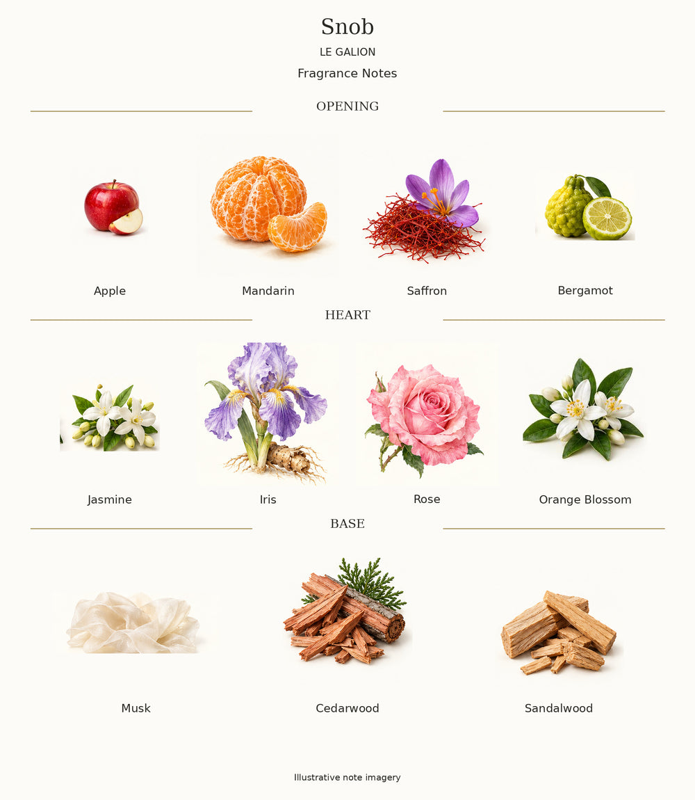 Complete fragrance notes for Snob: Opening: Apple, Mandarin, Saffron, Bergamot; Heart: Jasmine, Iris, Rose, Orange Blossom; Base: Musk, Cedarwood, Sandalwood