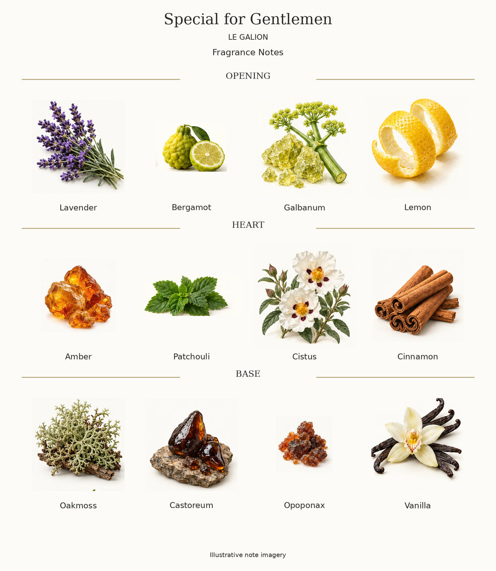 Complete fragrance notes for Special for Gentlemen: Opening: Lavender, Bergamot, Galbanum, Lemon; Heart: Amber, Patchouli, Cistus, Cinnamon; Base: Oakmoss, Castoreum, Opoponax, Vanilla