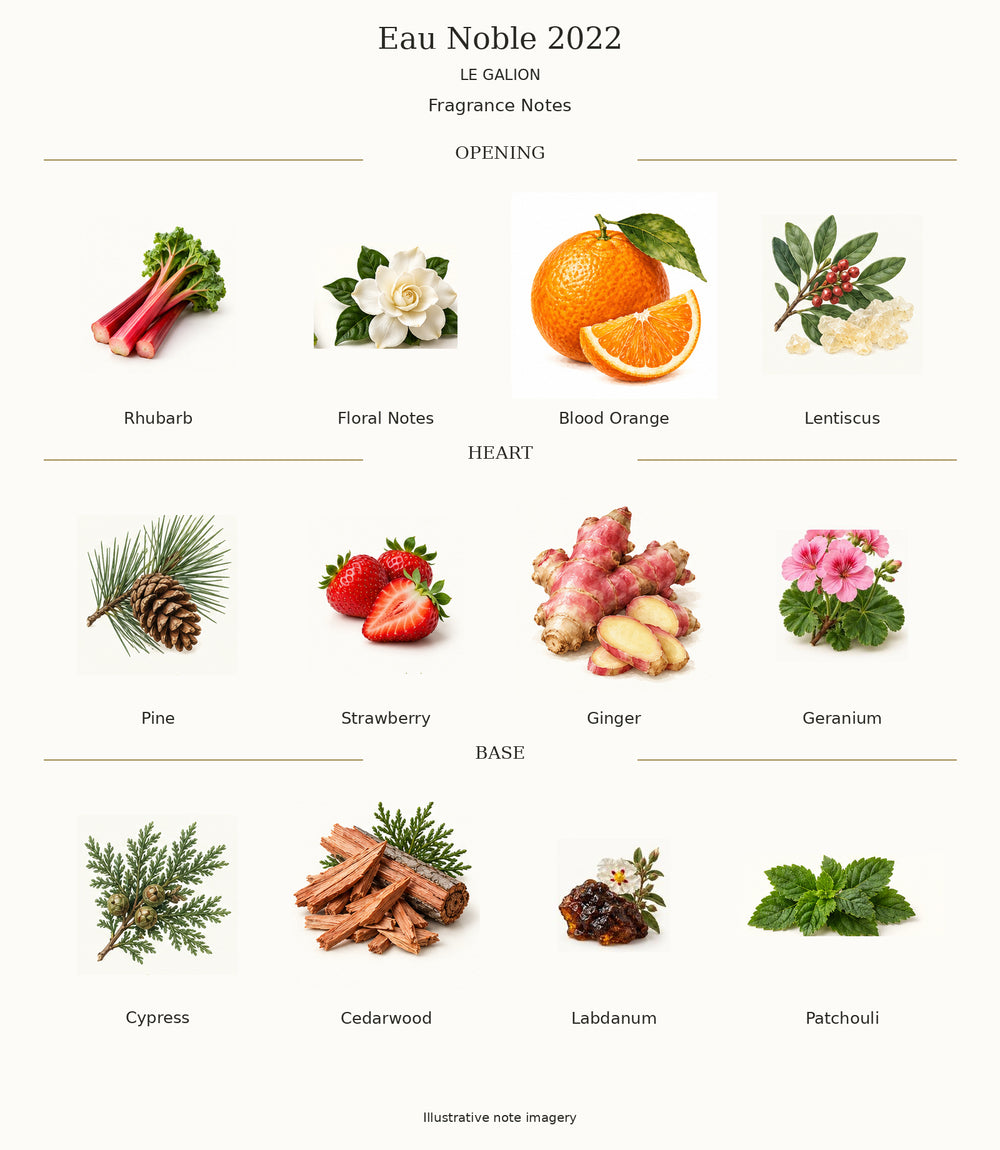 Complete fragrance notes for Eau Noble 2022 by Le Galion: Opening: Rhubarb, Floral Notes, Blood Orange, Lentiscus; Heart: Pine, Strawberry, Ginger, Geranium; Base: Cypress, Cedarwood, Labdanum, Patchouli