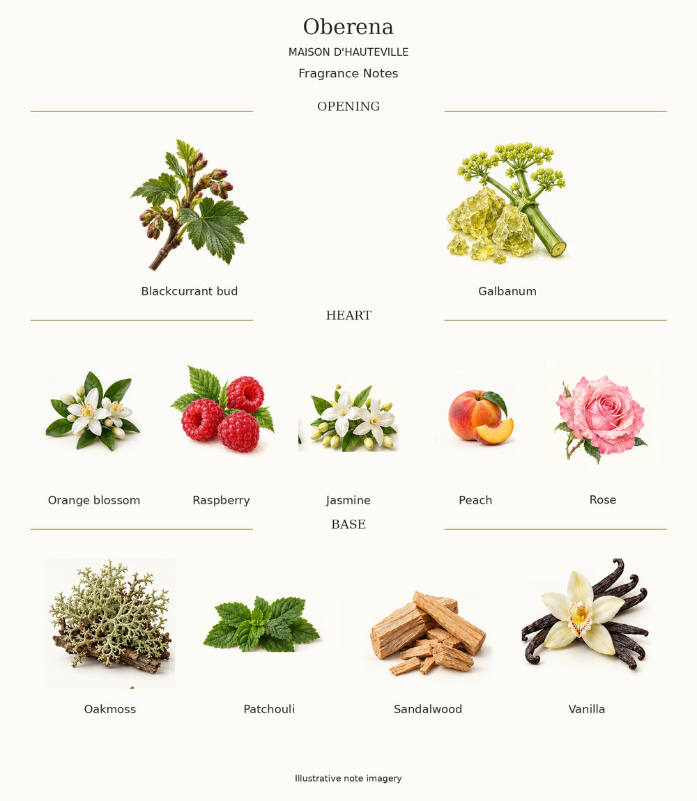 Complete fragrance notes for Oberena by MAISON D'HAUTEVILLE: Opening: Blackcurrant bud, Galbanum; Heart: Orange blossom, Raspberry, Jasmine, Peach, Rose; Base: Oakmoss, Patchouli, Sandalwood, Vanilla