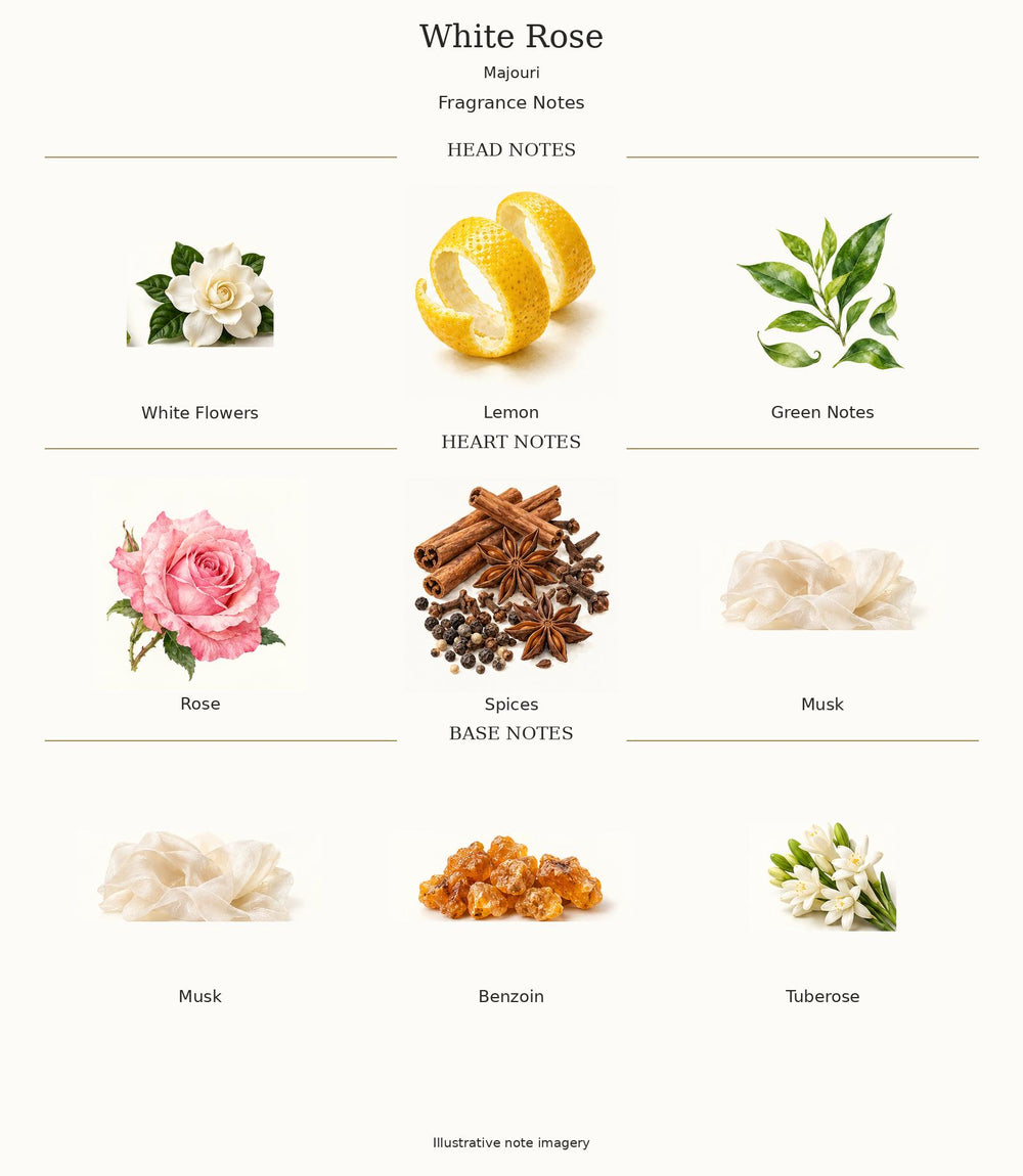 White Rose by Majouri — complete illustrated fragrance notes