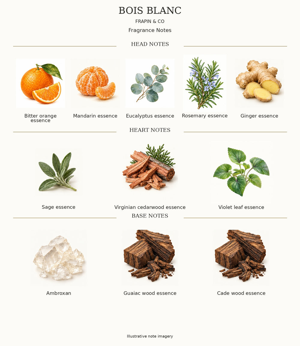 BOIS BLANC by FRAPIN & CO — complete verified fragrance notes