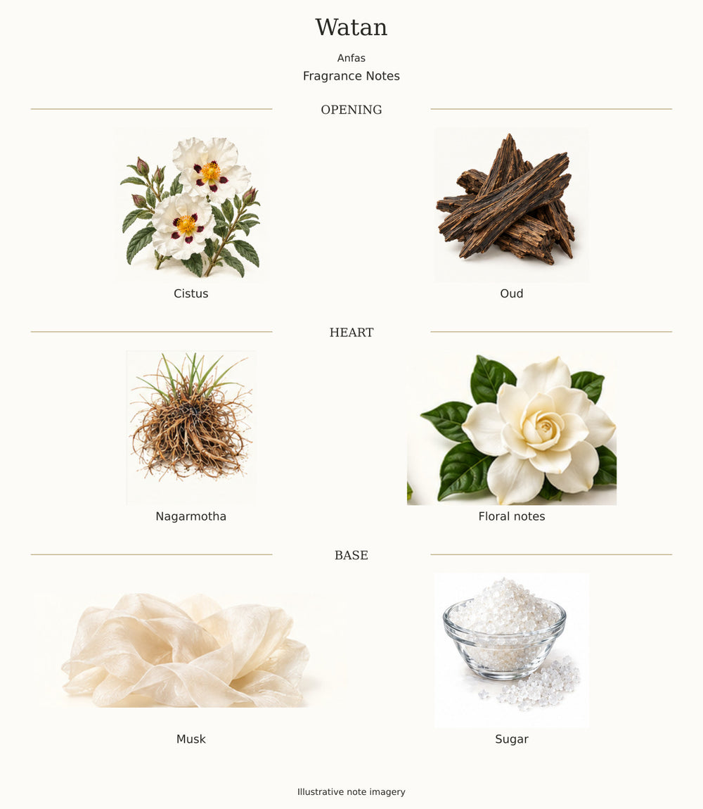 Watan by Anfas: complete verified fragrance notes