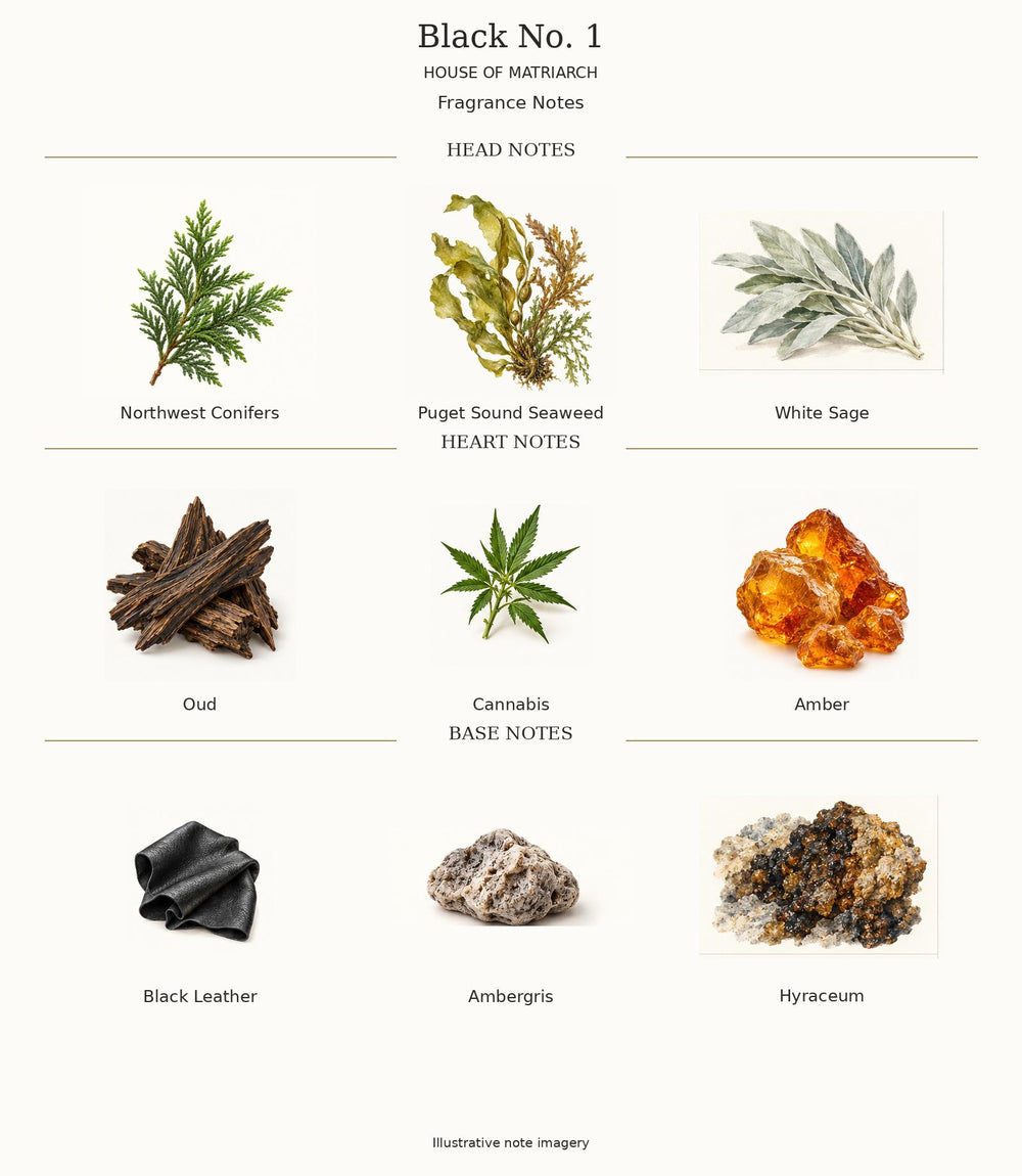 Black No. 1 by House of Matriarch — complete fragrance notes; illustrative imagery