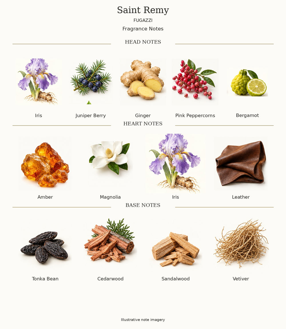 Saint Remy by FUGAZZI — complete fragrance notes