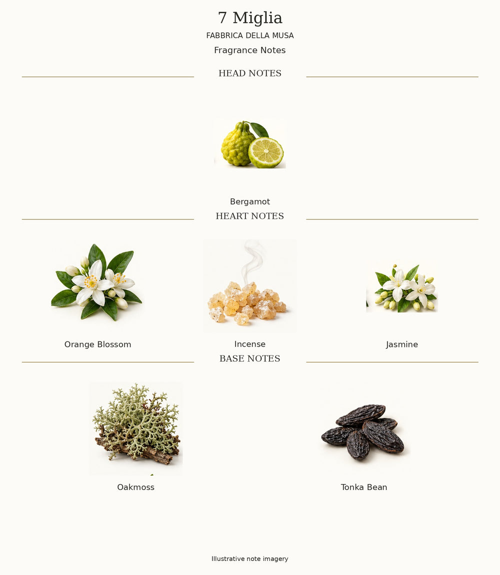 7 Miglia by FABBRICA DELLA MUSA — complete fragrance notes