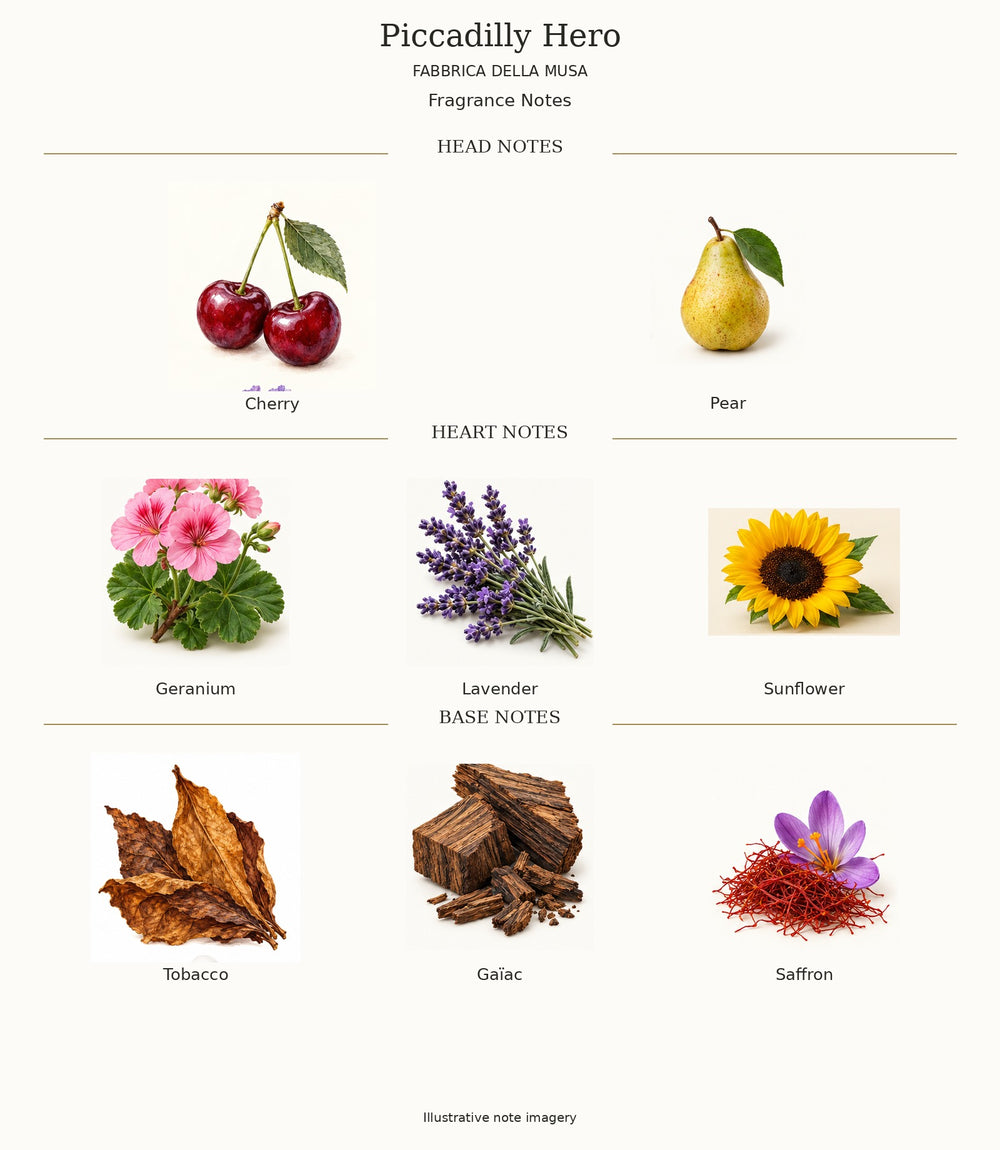 Piccadilly Hero by FABBRICA DELLA MUSA — complete fragrance notes