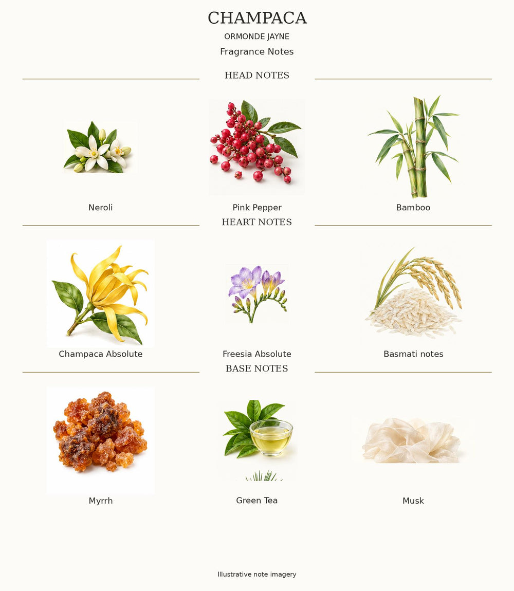 Champaca complete illustrated fragrance notes