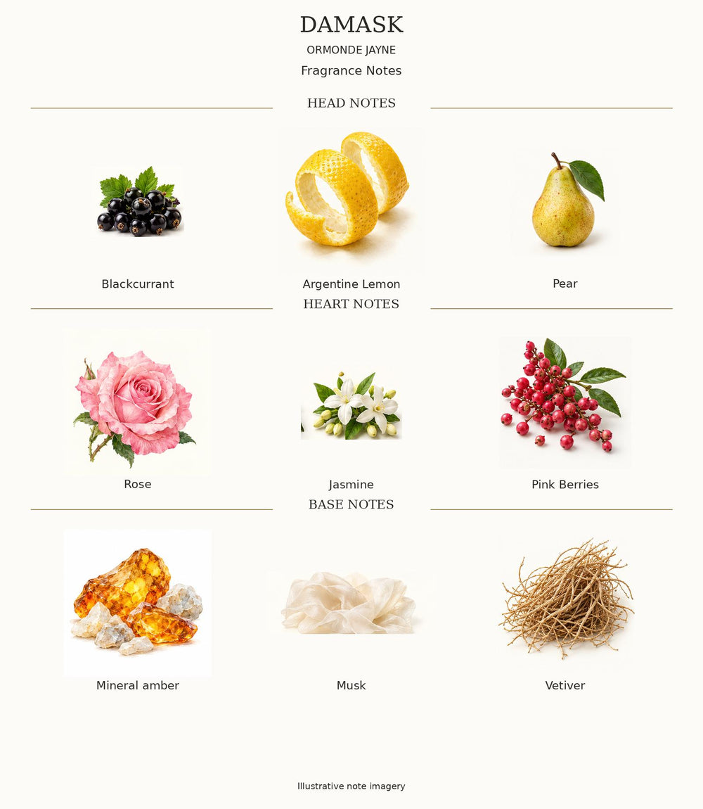 Damask complete illustrated head, heart and base fragrance notes