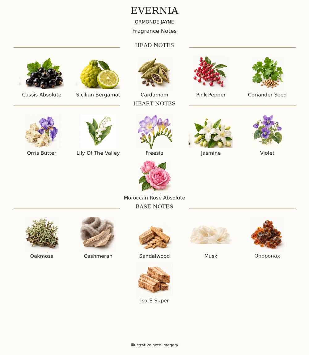 Evernia complete illustrated head, heart and base fragrance notes