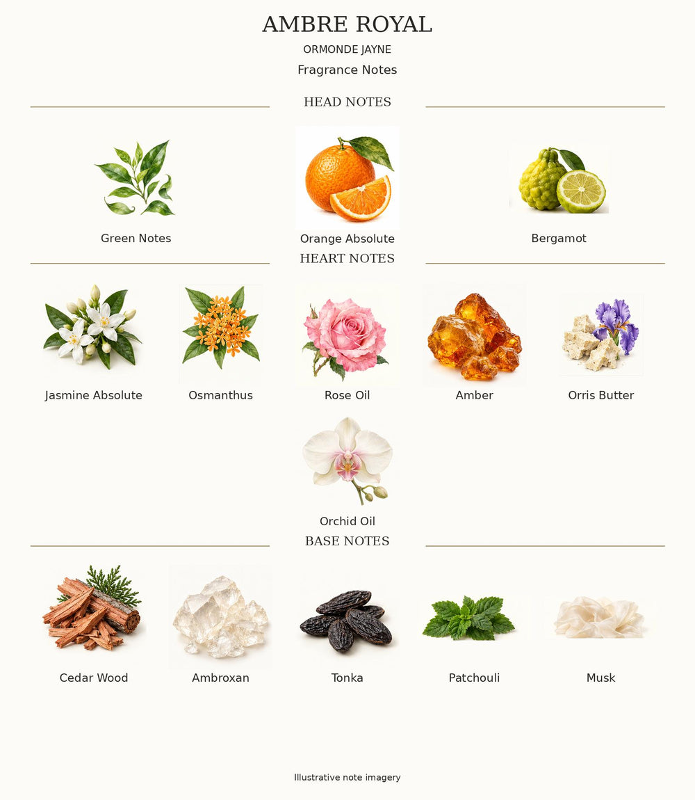 Ambre Royal complete illustrated head, heart and base fragrance notes