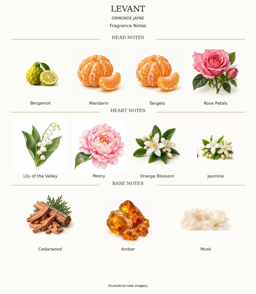Levant complete illustrated head, heart and base fragrance notes