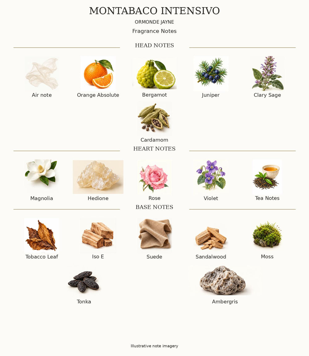 Montabaco Intensivo complete illustrated fragrance notes