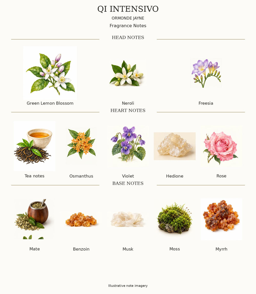 Qi Intensivo complete illustrated fragrance notes