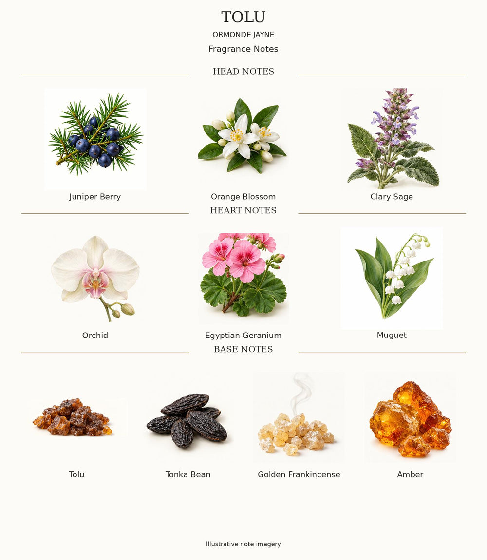 Tolu complete illustrated head, heart and base fragrance notes