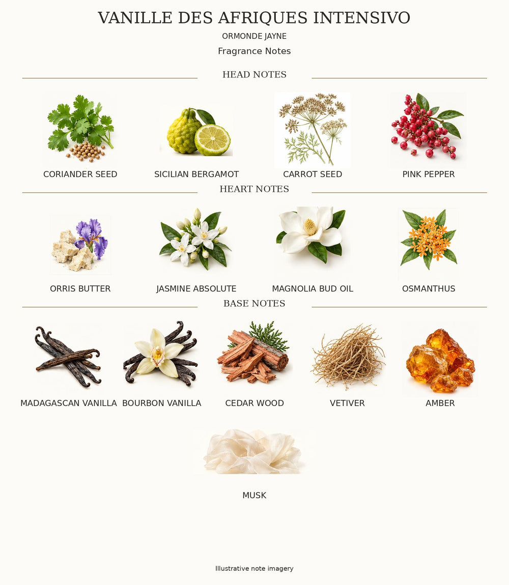 Vanille Des Afriques Intensivo complete illustrated fragrance notes