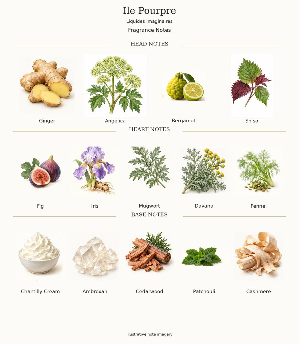 Ile Pourpre by Liquides Imaginaires complete opening, heart and base notes; illustrative imagery