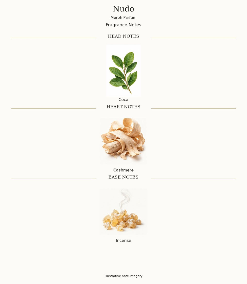 Nudo by Morph Parfum complete opening, heart and base notes; illustrative imagery