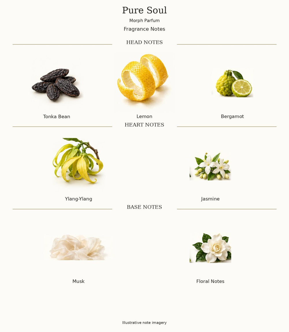 Pure Soul by Morph Parfum complete opening, heart and base notes; illustrative imagery