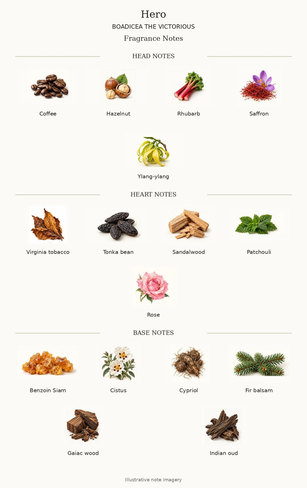HERO by BOADICEA THE VICTORIOUS — complete illustrated fragrance notes